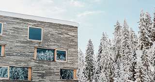 20190204 NicholasIliano 2 1 v2