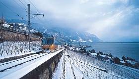 Genfersee lacleman lakegeneva Panoramique et vignes.hiver