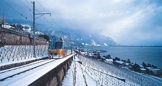 Genfersee lacleman lakegeneva Panoramique et vignes.hiver