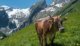 Destinationen Ostschweiz 3