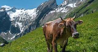 Destinationen Ostschweiz 3