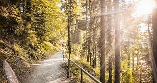 Destinationen Zuerich 2