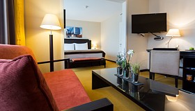 Hotel Euler Basel Junior Suite