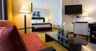 Hotel Euler Basel Junior Suite