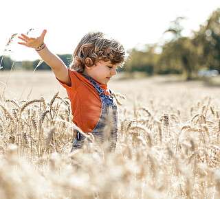 Slide 18+19 Swiss family hotels